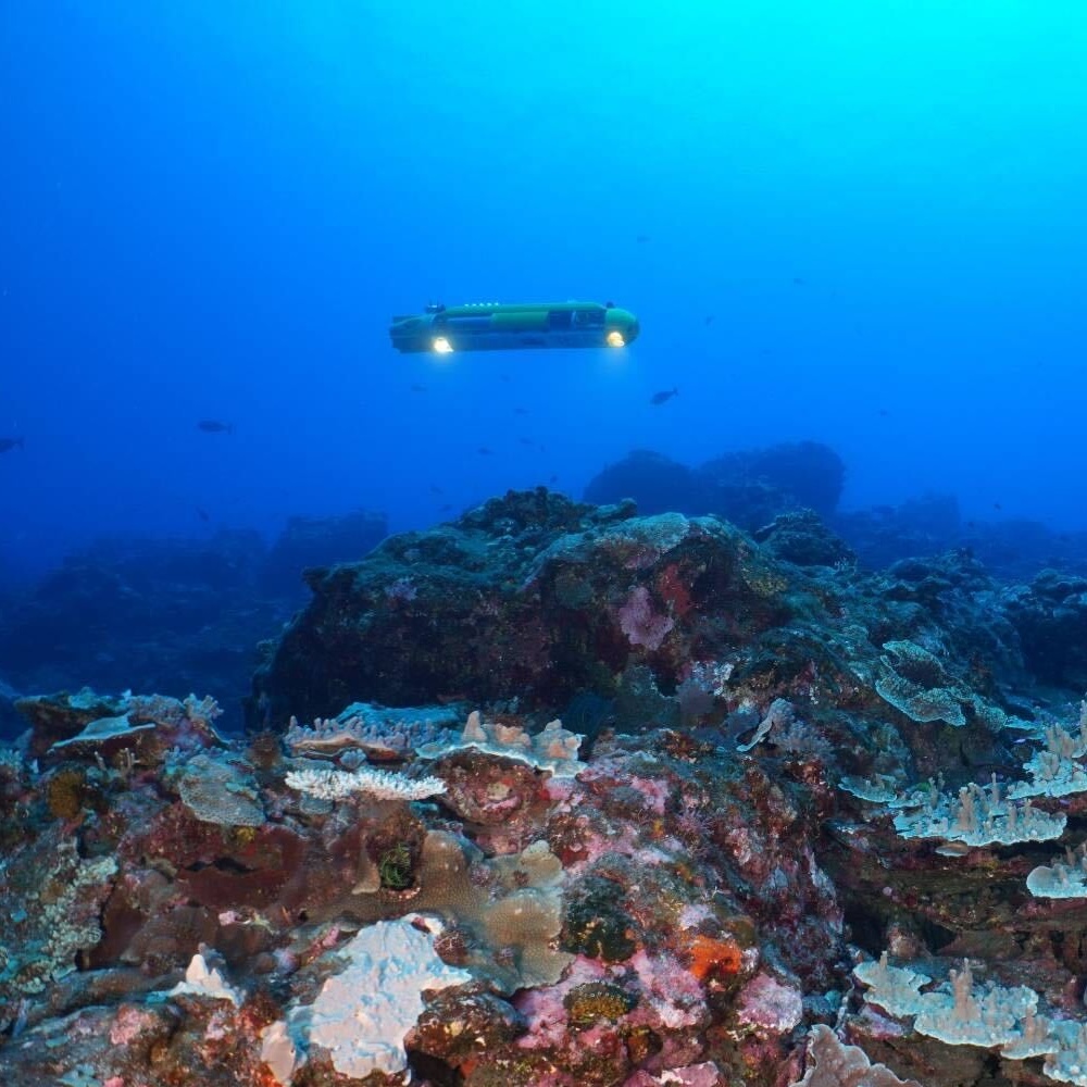 image alt text